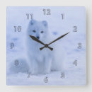 Recherche de renard arctique art Neige