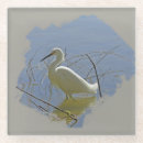 Recherche de habitats dessous de verres Habitat naturel