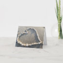 Recherche de roches correspondances cartes Plage