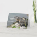 Suche nach eidechse geburtstag karten Tiere