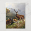 Suche nach vintage tiere postkarten Tierwelt