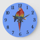 Recherche de perroquets rouges horloges Coloré