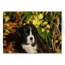Recherche de chiffre photographie Automne