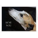 Recherche de compagnon animal photographie Dog