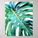 Recherche de tropique posters Verdure
