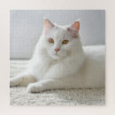 Suche nach teppich puzzle Katze