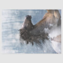 Recherche de cheval de mustang Mustangs