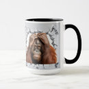 Recherche de ape tasses Faune