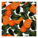 Recherche de 20x20 posters Fruits