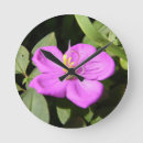 Suche nach plumeria wanduhren Hawaii