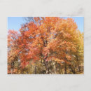Suche nach orangenbäume postkarten Herbstlandschaft