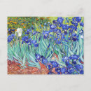 Recherche de iris van gogh cartes postales Néerlandais