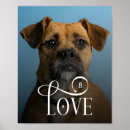 Recherche de décor de chien posters Pour animaux