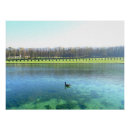Suche nach waldsee poster Natur