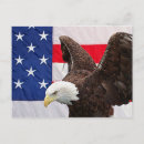 Suche nach amerikanischer adler postkarten Amerikanische flagge
