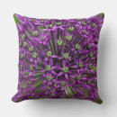 Recherche de allium Violet