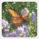 Recherche de papillon monarque orange autocollants Animal