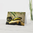 Recherche de de serpent vœux cartes Nature