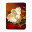 Suche nach samt magnete Blume