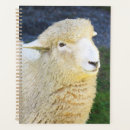 Recherche de amical photographie Animal