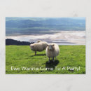 Recherche de sheep invitations Brebis