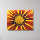 Recherche de gerber posters Photographie