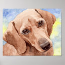 Suche nach dacshund Hunde