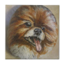 Recherche de peinture portrait carreaux Chien