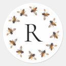 Recherche de guêpes autocollants Insecte