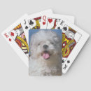 Recherche de caniche jeux de cartes Poker