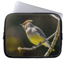 Suche nach bird laptop schutzhüllen Wildvogel