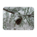 Recherche de neigeux magnets Enneigé