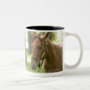 Recherche de quart tasses Horizontal