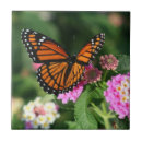 Suche nach monarchfalter fliesen Schmetterling
