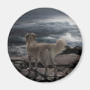 Suche nach seehund magnete Haustier