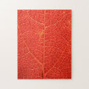 Recherche de veine puzzles Feuille