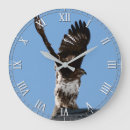 Recherche de rapace horloges Oiseau de proie