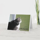 Suche nach gab karten Katzen