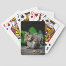 Recherche de écureuil jeux de cartes Nature