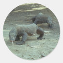 Suche nach komodo aufkleber Reptil