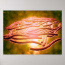 Suche nach epidemiologie poster Digital generiertes bild