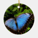 Recherche de exotic ornements Nature