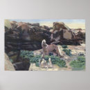 Suche nach palomino poster Wüste