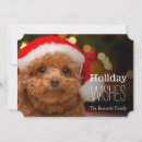 Suche nach tierkörperteil karten Weihnachten