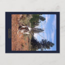 Recherche de tipis cartes postales Rustique