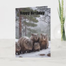Suche nach wombat Tasmanien
