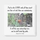 Suche nach pilze magnete Fotografie