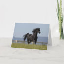 Recherche de étalon arabe vœux cartes Noir