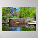 Recherche de wisteria poster Floraison