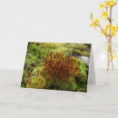 Suche nach moose karten Natur